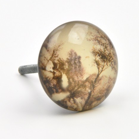 Picture Resin Knob