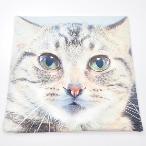 Cute Cat Cushion Cover