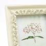 Standard Size Flowery Picture Frame