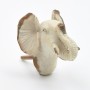 Kids Elephant Head Knob