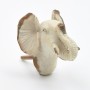 Cream Elephant Head Knob
