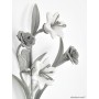 Grey Ceramic Flower Coat Hooks